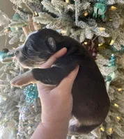 processed/ea6620d8-7d29-4051-9bb7-a53e83122fbe/listing/103660c7-e0b9-4020-9deb-831e64c40790/19843f84-ddfd-41ac-a653-bd2c34e6b9a4