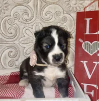 processed/ea6620d8-7d29-4051-9bb7-a53e83122fbe/listing/103660c7-e0b9-4020-9deb-831e64c40790/1e8ba1dd-d095-4fab-974a-eb98602cd02d