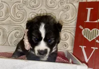 processed/ea6620d8-7d29-4051-9bb7-a53e83122fbe/listing/103660c7-e0b9-4020-9deb-831e64c40790/70d8260f-8b9a-40e7-b0bd-547410b26995