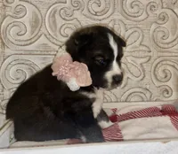 processed/ea6620d8-7d29-4051-9bb7-a53e83122fbe/listing/103660c7-e0b9-4020-9deb-831e64c40790/a9186b91-fb8c-44a3-8639-31c447b4c432