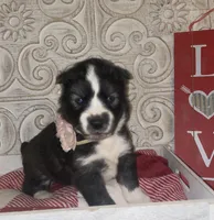 processed/ea6620d8-7d29-4051-9bb7-a53e83122fbe/listing/103660c7-e0b9-4020-9deb-831e64c40790/e8ef48d3-86e8-4a21-9422-a269e70235cd