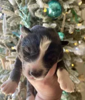 processed/ea6620d8-7d29-4051-9bb7-a53e83122fbe/listing/103660c7-e0b9-4020-9deb-831e64c40790/ff9867bc-0054-48a8-8fed-ff41edb857f4