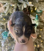 processed/ea6620d8-7d29-4051-9bb7-a53e83122fbe/listing/8b421a72-22da-4f0c-9a61-ef1498b0790e/11a14842-4f98-441b-997b-a83445935678