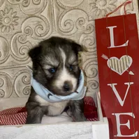 processed/ea6620d8-7d29-4051-9bb7-a53e83122fbe/listing/8b421a72-22da-4f0c-9a61-ef1498b0790e/4f17bdd6-b4bb-4c7c-8dea-2157f1c69c65