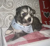 processed/ea6620d8-7d29-4051-9bb7-a53e83122fbe/listing/8b421a72-22da-4f0c-9a61-ef1498b0790e/9cad3219-e825-42db-8af7-35f5792494f1