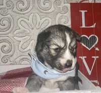 processed/ea6620d8-7d29-4051-9bb7-a53e83122fbe/listing/8b421a72-22da-4f0c-9a61-ef1498b0790e/cbaa9b39-e669-4261-82e5-d4243dca9af7