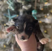 processed/ea6620d8-7d29-4051-9bb7-a53e83122fbe/listing/8b421a72-22da-4f0c-9a61-ef1498b0790e/f0566c99-6974-4bdf-aabd-dcbe02c8069b