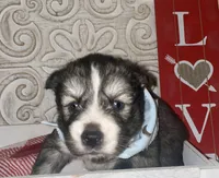 processed/ea6620d8-7d29-4051-9bb7-a53e83122fbe/listing/8b421a72-22da-4f0c-9a61-ef1498b0790e/fa50942c-d592-4e64-918f-a15a790ed1e0