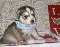 processed/ea6620d8-7d29-4051-9bb7-a53e83122fbe/listing/c3277ccf-c9fd-4da0-8fa1-a3cd6d6e7edc/365172f9-e782-4277-85c7-689a9ea87721