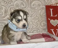 processed/ea6620d8-7d29-4051-9bb7-a53e83122fbe/listing/c3277ccf-c9fd-4da0-8fa1-a3cd6d6e7edc/4c074130-b49b-4936-b355-ea0f082367f9