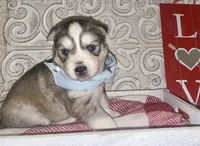 processed/ea6620d8-7d29-4051-9bb7-a53e83122fbe/listing/c3277ccf-c9fd-4da0-8fa1-a3cd6d6e7edc/a7a8821f-b8d0-4fe0-9e7e-9112a427bbd5