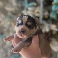 processed/ea6620d8-7d29-4051-9bb7-a53e83122fbe/listing/c3277ccf-c9fd-4da0-8fa1-a3cd6d6e7edc/c3410af0-f644-491a-8ccb-31cf97f17d9f