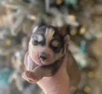 processed/ea6620d8-7d29-4051-9bb7-a53e83122fbe/listing/c3277ccf-c9fd-4da0-8fa1-a3cd6d6e7edc/e6d5b1fe-d406-4c7c-8155-e5e2d769cf73