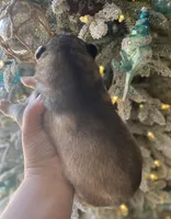 processed/ea6620d8-7d29-4051-9bb7-a53e83122fbe/listing/c3277ccf-c9fd-4da0-8fa1-a3cd6d6e7edc/eedd60fe-2d58-4577-80ab-87ba60e07889