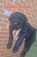 processed/ea66fe7f-4ccc-4e5b-a8ec-9aa34a018ed4/listing/3c9ebfcc-6bfd-425e-a0e8-e22e30628785/2ef1f514-aa72-4639-b6c4-43602143f2db