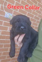 processed/ea66fe7f-4ccc-4e5b-a8ec-9aa34a018ed4/listing/3c9ebfcc-6bfd-425e-a0e8-e22e30628785/bfb3c974-6fad-4281-b6f1-a94c14e2a1f9