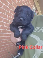 processed/ea66fe7f-4ccc-4e5b-a8ec-9aa34a018ed4/listing/9368d3b2-b13a-426a-80b0-52a7ddf8c413/7a4d7db5-a073-41d5-a2c3-9c10fcdded83