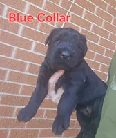 processed/ea66fe7f-4ccc-4e5b-a8ec-9aa34a018ed4/listing/ded25dca-b5ac-424a-a578-a2ca8b7dce3d/2409596d-e72e-4088-9916-e7666876bbe9