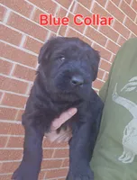 processed/ea66fe7f-4ccc-4e5b-a8ec-9aa34a018ed4/listing/ded25dca-b5ac-424a-a578-a2ca8b7dce3d/7524a775-b05c-48ed-82f9-3a84686434d3