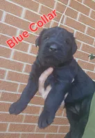 processed/ea66fe7f-4ccc-4e5b-a8ec-9aa34a018ed4/listing/ded25dca-b5ac-424a-a578-a2ca8b7dce3d/f7bf0c32-c8c7-4b03-81c0-3069dcece03f