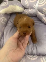 processed/ea6bb5a9-3d94-4f9f-962f-535bddbc002d/listing/1de5f4c1-de37-43f1-83b8-7ca2fb4d3483/42a5e15e-0032-4fb6-b8fd-cfcba6ee9f0e