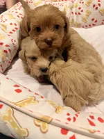 processed/ea6bb5a9-3d94-4f9f-962f-535bddbc002d/listing/1de5f4c1-de37-43f1-83b8-7ca2fb4d3483/6be0bb97-7137-4d5d-900e-593a3c55be9a