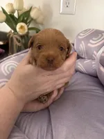 processed/ea6bb5a9-3d94-4f9f-962f-535bddbc002d/listing/1de5f4c1-de37-43f1-83b8-7ca2fb4d3483/8eaba2f8-6517-4520-958a-05c6db09f315