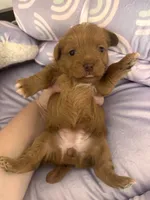 processed/ea6bb5a9-3d94-4f9f-962f-535bddbc002d/listing/1de5f4c1-de37-43f1-83b8-7ca2fb4d3483/c9ea0c45-0b9a-4823-8e1b-cfdefdc8556f