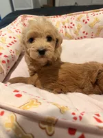 processed/ea6bb5a9-3d94-4f9f-962f-535bddbc002d/listing/8346344f-acdb-4355-bd23-23db4843b037/18edfd60-7fc8-47ac-b57f-c5c524744765