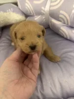 processed/ea6bb5a9-3d94-4f9f-962f-535bddbc002d/listing/8346344f-acdb-4355-bd23-23db4843b037/19fed76a-d3e7-40df-af49-0c7db01334ca