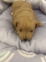 processed/ea6bb5a9-3d94-4f9f-962f-535bddbc002d/listing/8346344f-acdb-4355-bd23-23db4843b037/541a0b88-878d-4e26-a9ad-25b704e5fa7a