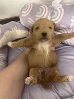 processed/ea6bb5a9-3d94-4f9f-962f-535bddbc002d/listing/8346344f-acdb-4355-bd23-23db4843b037/8c4eeb61-67d0-4c75-916e-cee20c78702e