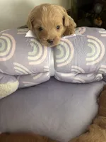 processed/ea6bb5a9-3d94-4f9f-962f-535bddbc002d/listing/8346344f-acdb-4355-bd23-23db4843b037/c4d39575-05f8-4dce-8404-75011467a2b3