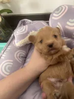 processed/ea6bb5a9-3d94-4f9f-962f-535bddbc002d/listing/a1e481c7-0f6e-4587-b270-a74fa84d0c5a/4e88d97f-f720-41a8-aa9b-75f42ed70f4e