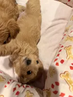 processed/ea6bb5a9-3d94-4f9f-962f-535bddbc002d/listing/a1e481c7-0f6e-4587-b270-a74fa84d0c5a/924754db-6198-49e9-91d6-f32a775fd6b8