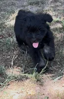 processed/ea779ccd-ec7e-48d7-977e-2fd6c5bdee5b/listing/0a4bb565-2c8b-45b0-baf2-246b17131ece/b64fc08c-8123-4fa6-99c2-578b8199ba4b