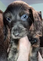 processed/ea8252d9-8a41-4c71-a274-9323edd75379/listing/4ab91c01-c984-49fd-ba2d-a712ebb0b6f9/546d8891-a83f-4a69-8dd1-02b4df7bbd6c