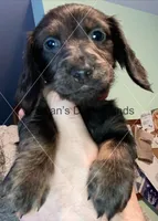 processed/ea8252d9-8a41-4c71-a274-9323edd75379/listing/4ab91c01-c984-49fd-ba2d-a712ebb0b6f9/be49803a-adae-4e91-b1ec-5a0d41a7f7af