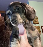 processed/ea8252d9-8a41-4c71-a274-9323edd75379/listing/98c666e3-4c78-418f-838c-ac41fcbf2876/56b23486-2935-4848-a69c-75a5e1e06f59