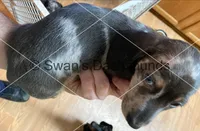 processed/ea8252d9-8a41-4c71-a274-9323edd75379/listing/98c666e3-4c78-418f-838c-ac41fcbf2876/600af095-cb07-4d44-a3bd-fd457608ca9a