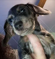 processed/ea8252d9-8a41-4c71-a274-9323edd75379/listing/98c666e3-4c78-418f-838c-ac41fcbf2876/d2a92860-5338-4112-b654-97dc68281caa