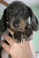 processed/ea8252d9-8a41-4c71-a274-9323edd75379/listing/b5aa8e74-1fef-4620-9fba-5c991d8469d2/73a53baa-a135-4c79-b64f-56de48f91d99