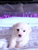 processed/ea854b84-7c30-403d-a5d4-ad207a6381e9/listing/03335e07-1b70-4217-9976-0d3f289ee02f/1ecb3eb8-1f5b-4365-a8af-df21a40a0403