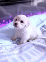 processed/ea854b84-7c30-403d-a5d4-ad207a6381e9/listing/03335e07-1b70-4217-9976-0d3f289ee02f/757e6604-ab4d-454c-960d-3722198dce64