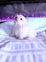 processed/ea854b84-7c30-403d-a5d4-ad207a6381e9/listing/03335e07-1b70-4217-9976-0d3f289ee02f/c5e925ff-afc2-41a2-afc4-0e675254d314