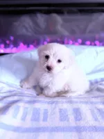 processed/ea854b84-7c30-403d-a5d4-ad207a6381e9/listing/03335e07-1b70-4217-9976-0d3f289ee02f/cc9df479-427f-4351-8de0-5f7e0cbf72aa