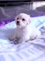 processed/ea854b84-7c30-403d-a5d4-ad207a6381e9/listing/03335e07-1b70-4217-9976-0d3f289ee02f/eed1c9d8-33cf-4b4c-9c37-24dae97067da