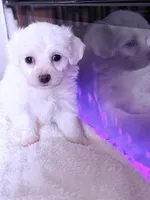 processed/ea854b84-7c30-403d-a5d4-ad207a6381e9/listing/1988f893-90af-4654-9a16-f59800170878/17e22f62-e560-4684-a30f-d9af09d8686a