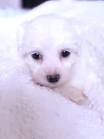 processed/ea854b84-7c30-403d-a5d4-ad207a6381e9/listing/1988f893-90af-4654-9a16-f59800170878/913d0561-0100-432b-89b8-ff1e42d8e701