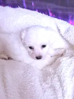 processed/ea854b84-7c30-403d-a5d4-ad207a6381e9/listing/1988f893-90af-4654-9a16-f59800170878/e7593c0a-bf28-4c34-b202-8e61fc882275